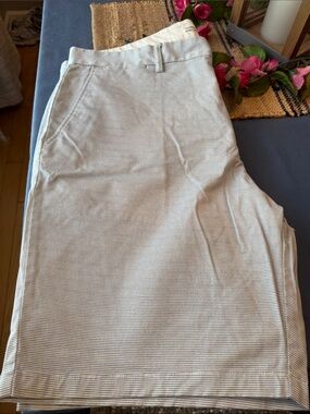Old Navy Light Blue and White Shorts